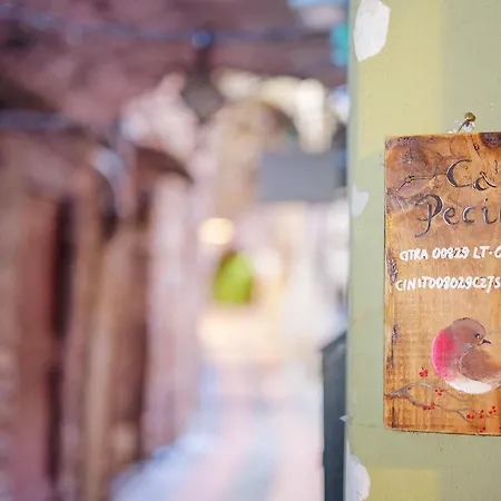 Ca' Pecina - * Dolceacqua